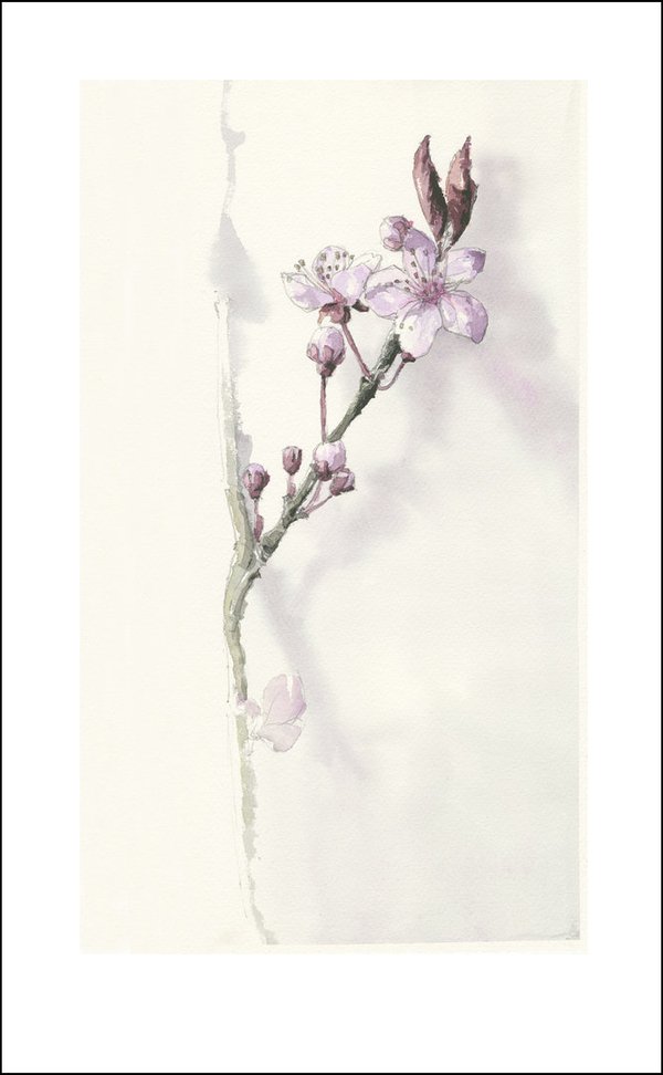 Triptychon Blossoms - 3 Kunstdrucke mit Blütenmotiven
