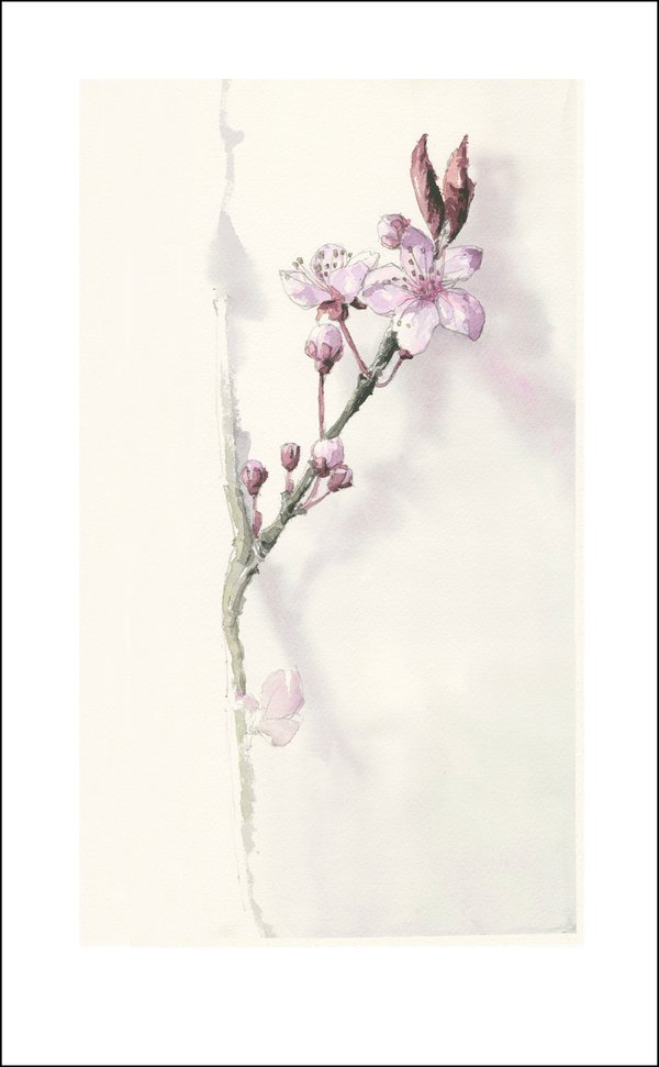 Kunstdruck, Fineartprint, Blüte, Blume